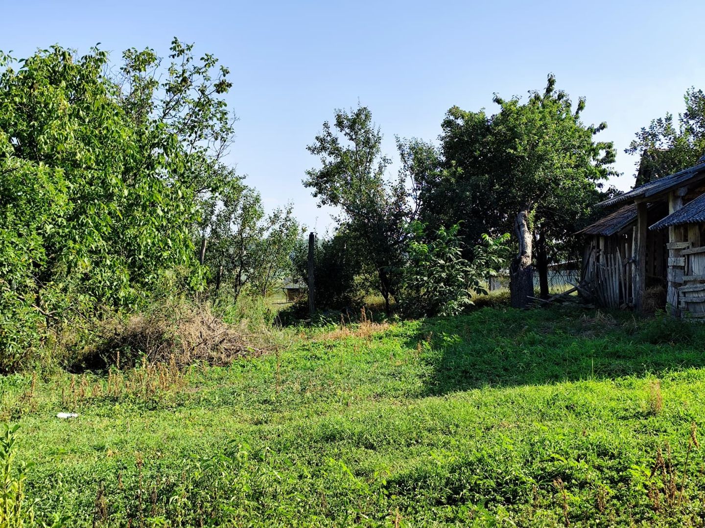 Casa la tara, Calea Mare, Bihor, teren mare, 2 intrari auto – vanzare - Poză 17