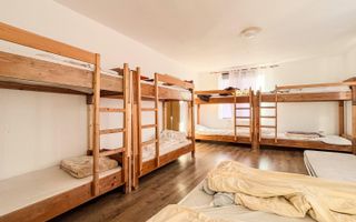 Casa individuala cu 12 camere, Potential Turistic, Visea, Comuna Jucu - Poză 13