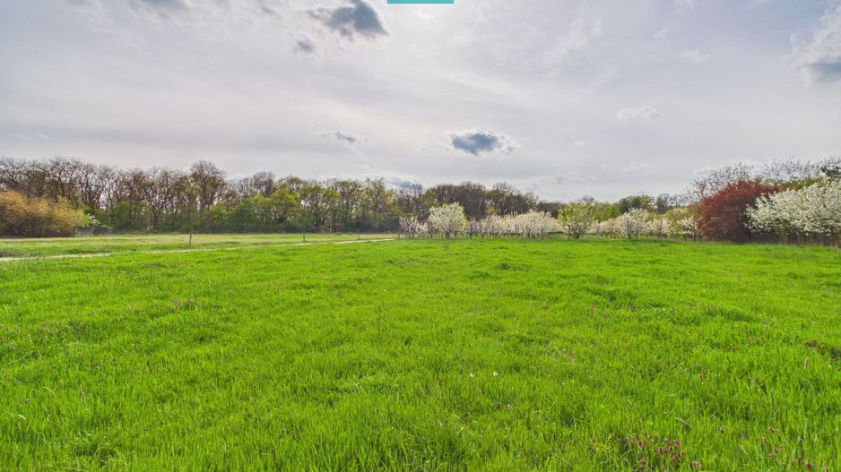 Teren intravilan, 820 mp, Pădure Giroc - Poză 1