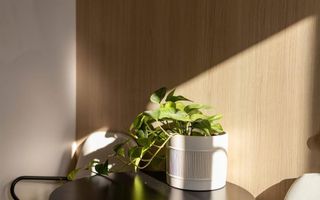 Apartament cu 2 camere | Ultrafinisat - modern | La cheie | Gheorgheni - Poză 21