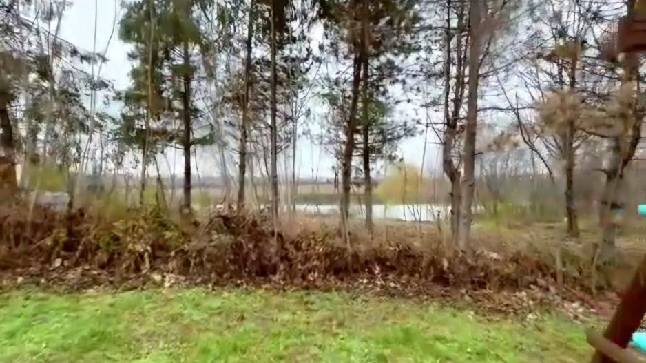 Vanzare vila individuala 8 camere | Curte 2360 mp | Corbeanca - Ostratu - Poză 15