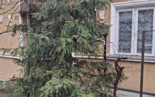 Casa de vanzare Copou-Sadoveanu - Poză 4