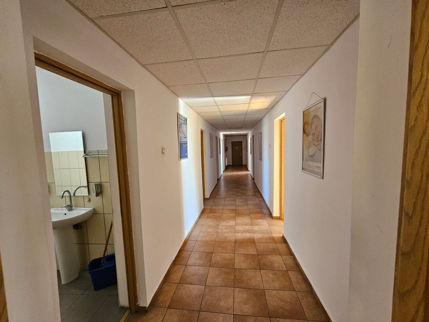 Inchiriere spatii birouri, curte pavata 800 mp, Bascov - Autostrada - Poză 15