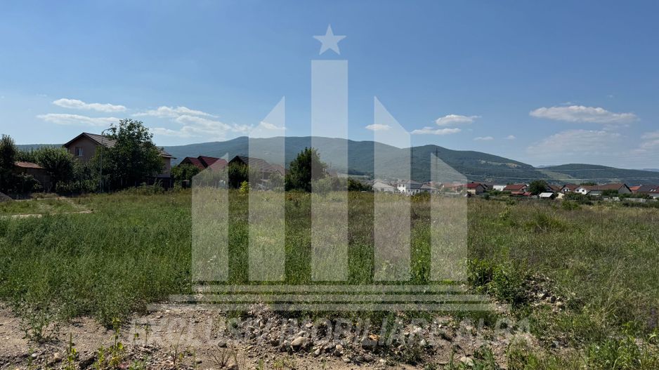 Teren intravilan | 3250 mp | 19.7 ml deschidere | Alba-Micesti - Poză 3