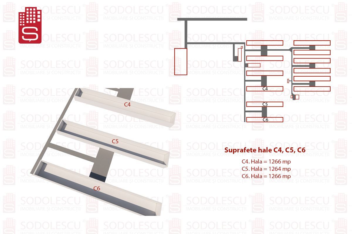 Vanzare hale Mosnita Noua-fosta Ferma 7 - Poză 5