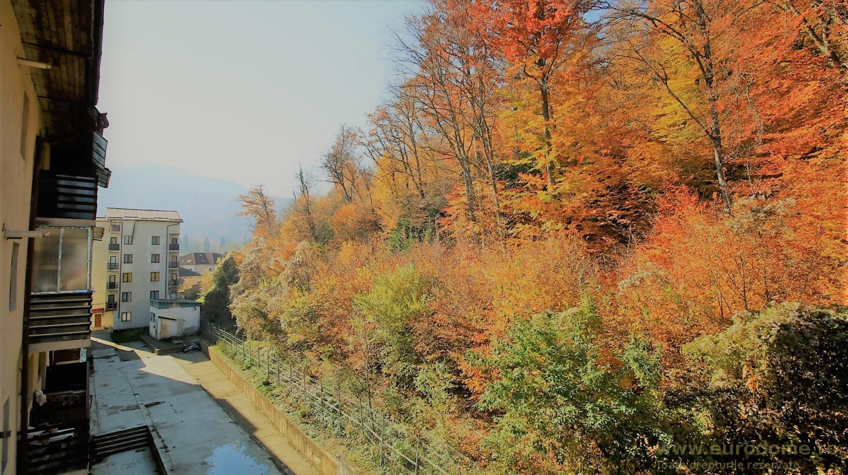 Exclusivitate - Garsoniera structura mare, decomandata - Poză 9