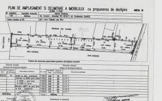 Vanzare teren Snagov - Izvorani, Strada Gradinarilor - Poză 5