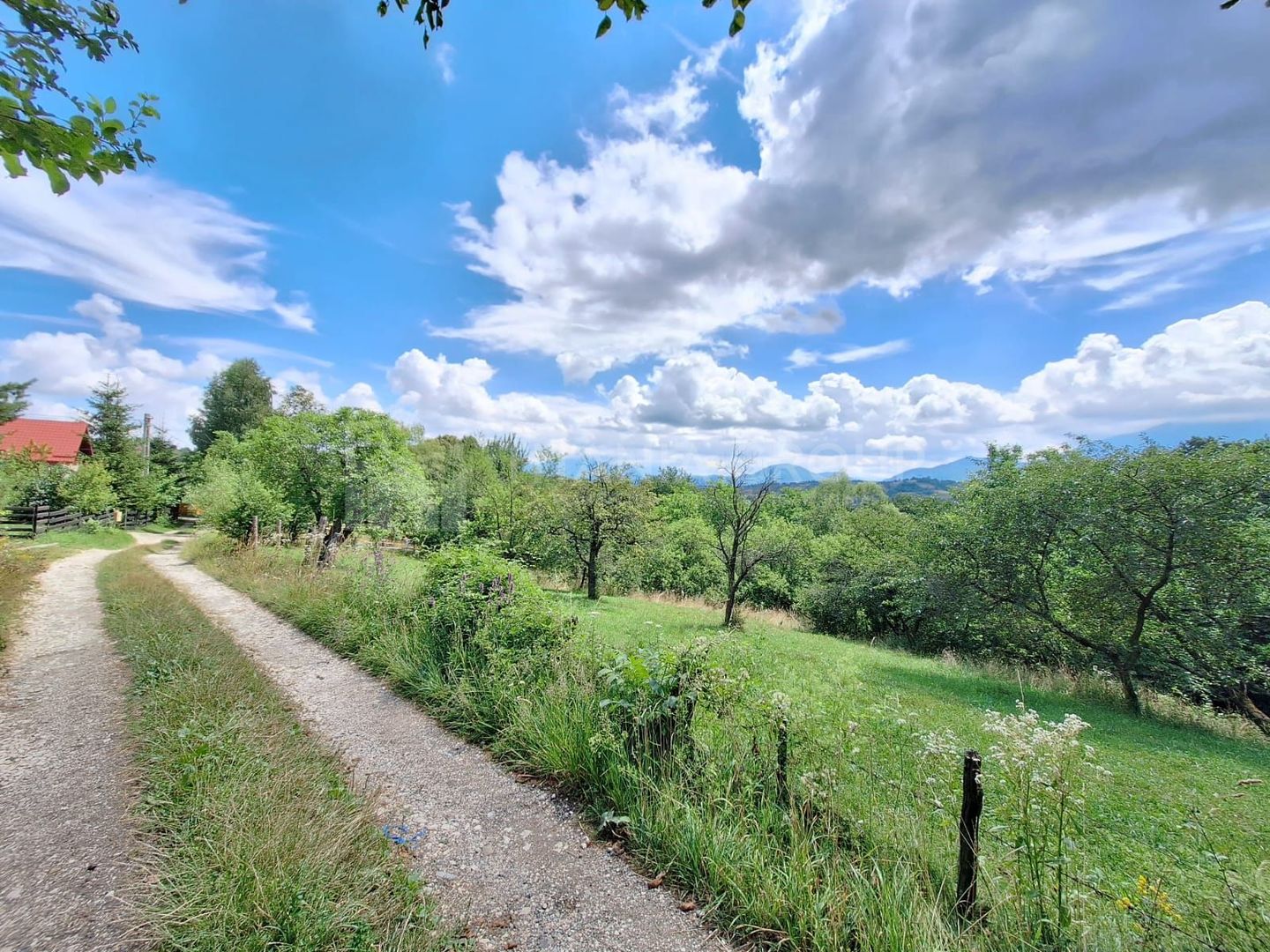 Teren intravilan 1003mp in mijlocul naturii, Predelut, comision 0 - Poză 2