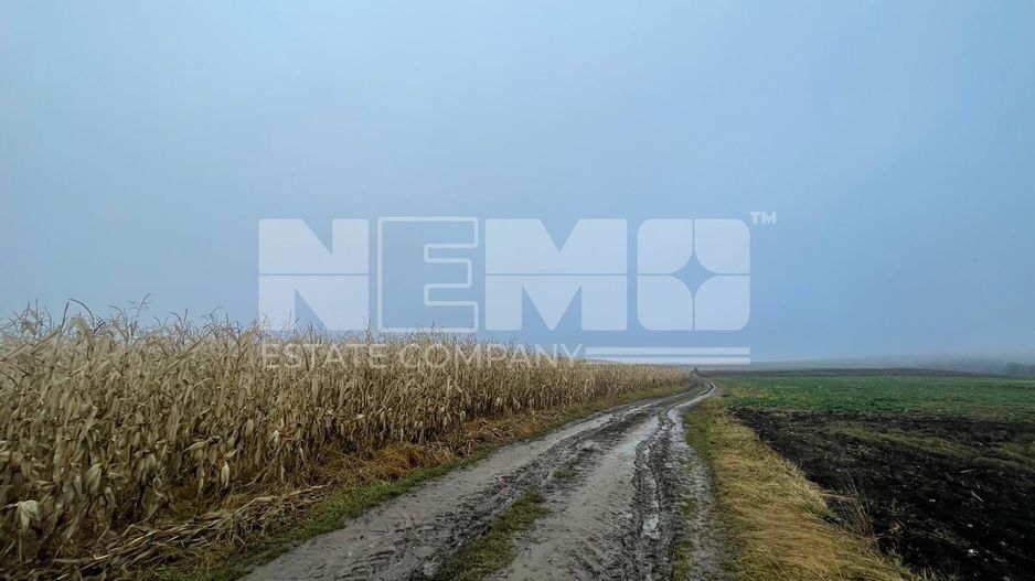 TEREN EXTRAVILAN | DOUA PARCELE 2.84 HA| IDEAL AGRICOL | DARMANESTI - Poză 9