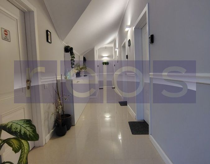 VILA EXCEPTIONALA PARCUL CAROL |  5 STUDIOURI | SPATIU HORECA FUNCTIONAL | - Poză 5