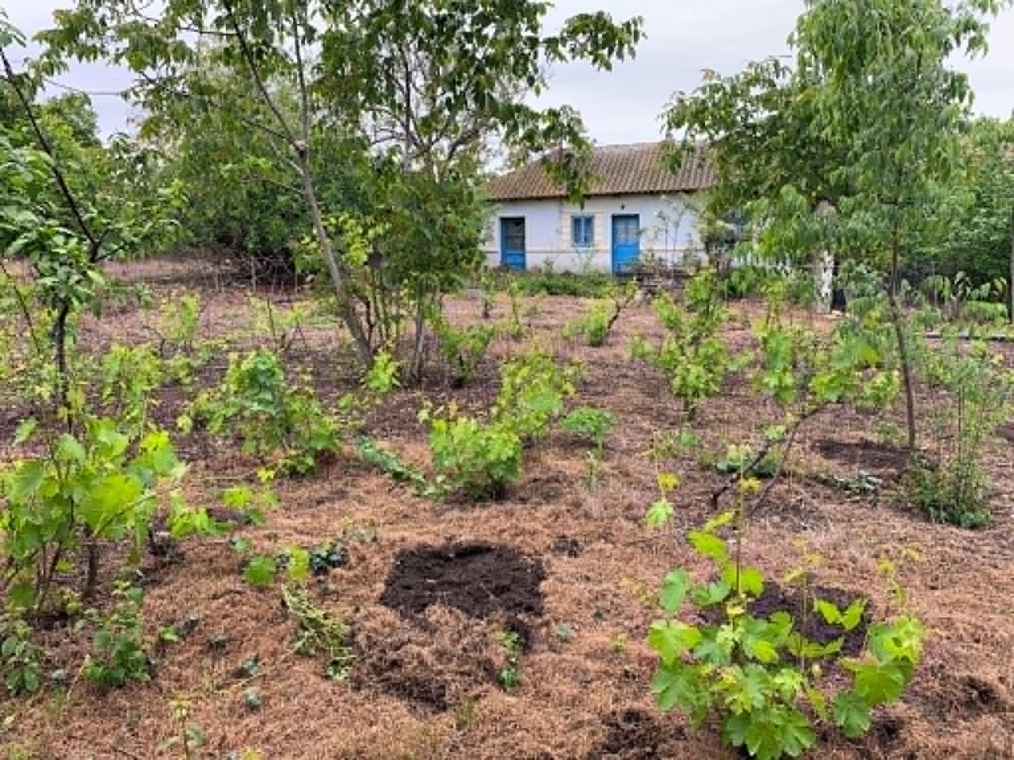 Teren intravilan 2562mp Loc 23 August | Ideal locuiță sau casă vacanță - Poză 5