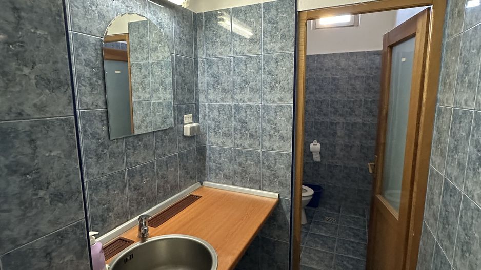 Spatiu comercial Calea Aradului - Poză 15