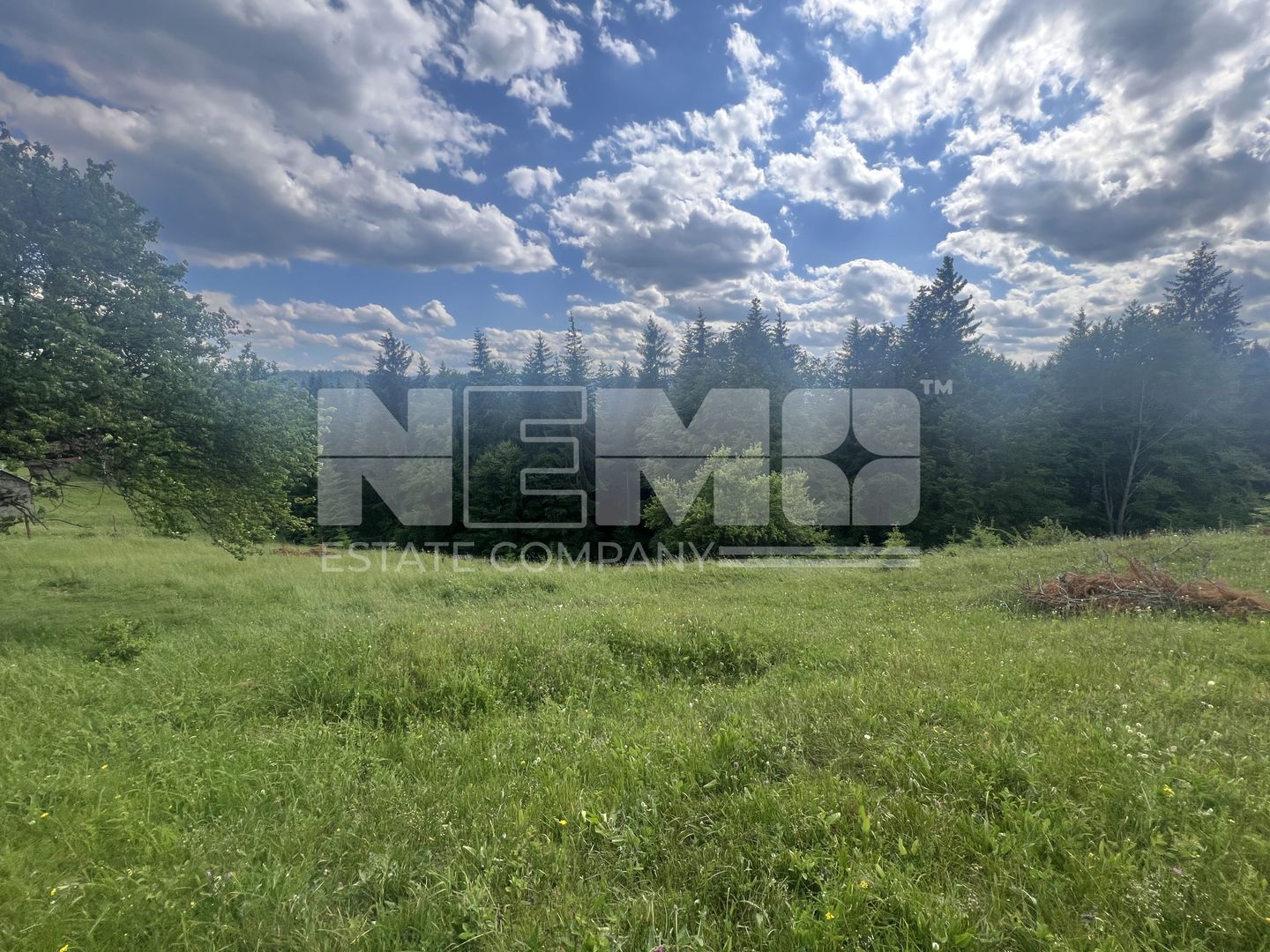 Teren Intravilan | Brodina de Jos | 16900 MP - Poză 6