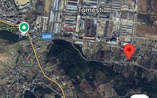 Teren intravilan 414 mp – Lot 1 – Tomesti, Str. Pinilor - Poză 7