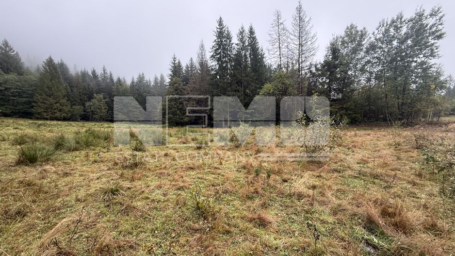 Teren Extravilan | 6.100 mp | Brodina | 41.500 € negociabil - Poză 3