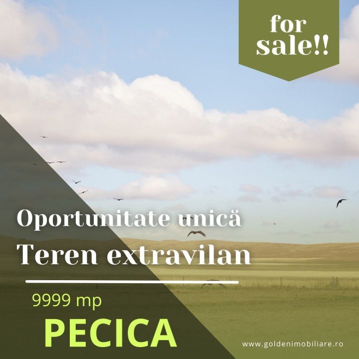 Oportunitate unica! Teren extravilan, 9999 mp, Pecica - Poză 1