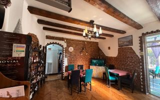 VANZARE VILA PONTENTIAL BUSINESS | ZONA DRISTOR BABA NOVAC | D+P+1E+M - Poză 7