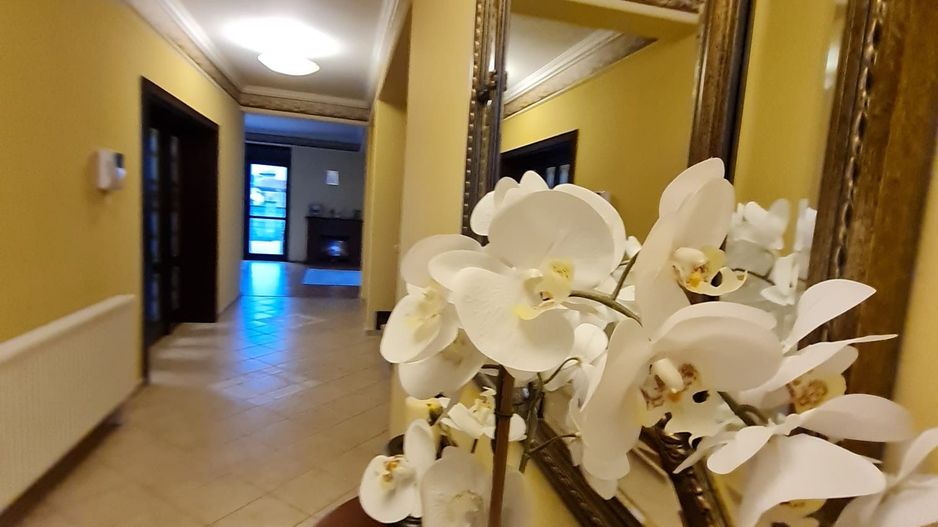 Poziție de top în Dumbravita - Poză 14