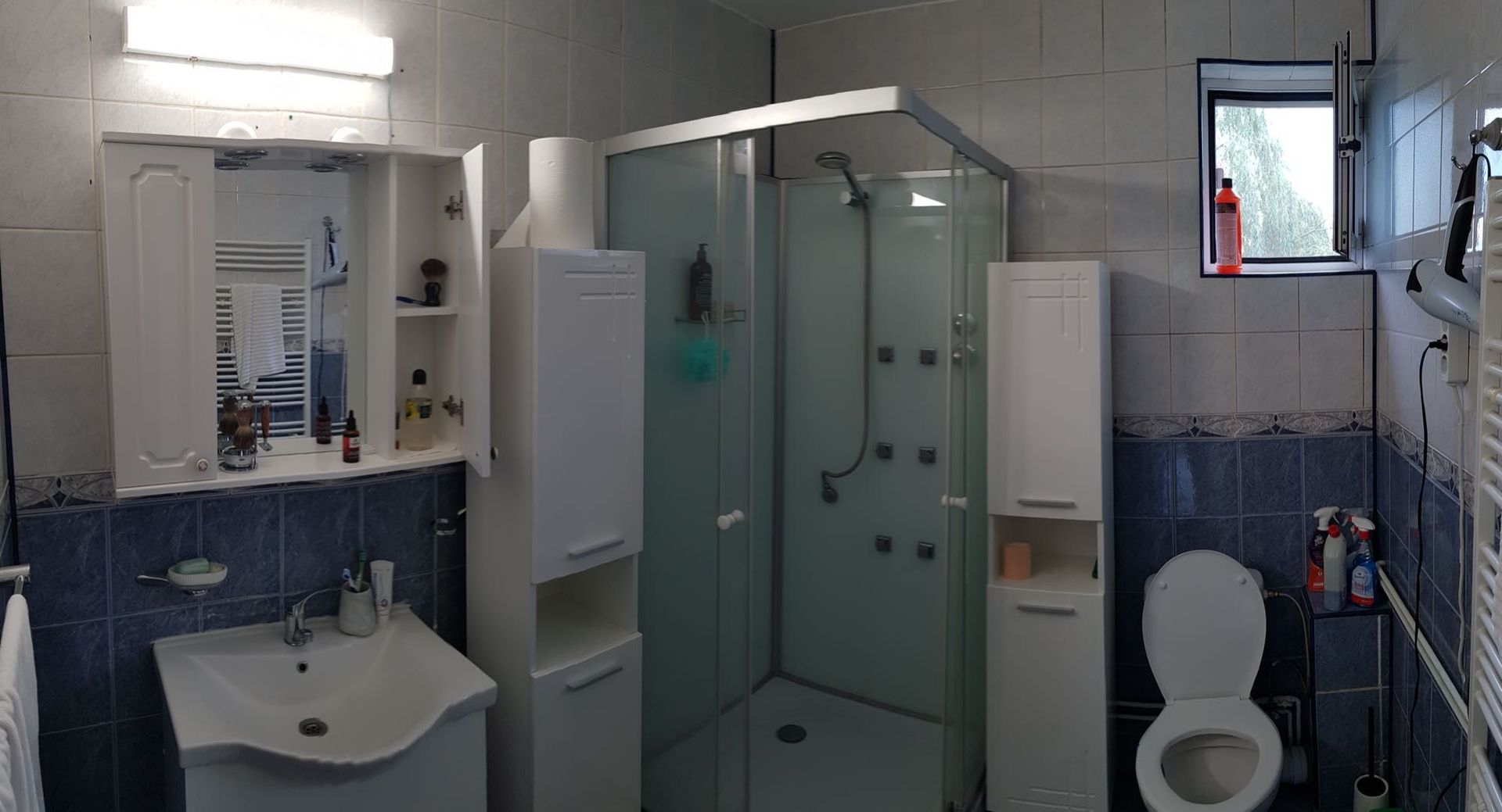 Vila spatioasa Bucurestii Noi | 2 Cocoși - Poză 17