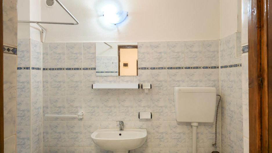Lunei - Ion Neculce, 2 Apartamente. Mansarda 157 mp. Anexe, Lot 475 mp - Poză 7