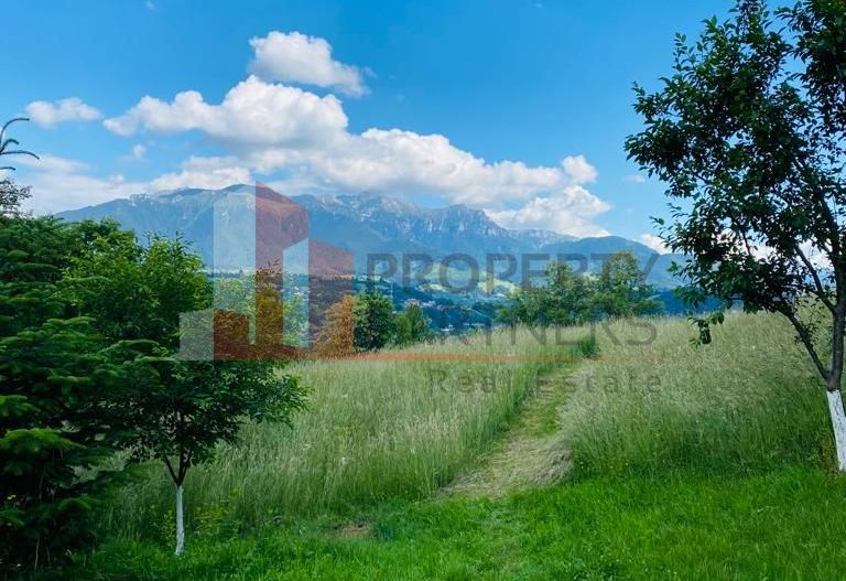 Vilă 340 mp Bran | Teren 5500 mp | 6 dormitoare cu băi proprii - Poză 26