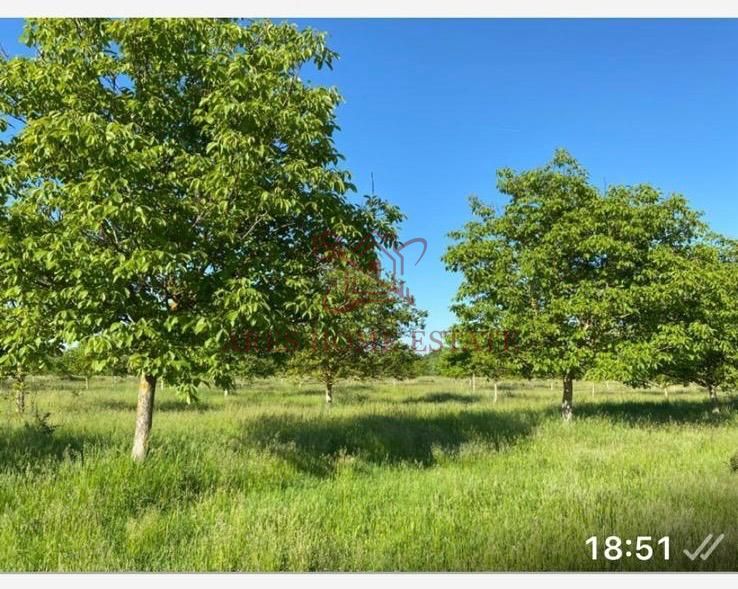 Teren intravilan 641 mp, deschidere 21 m - Mosnita - Poză 4