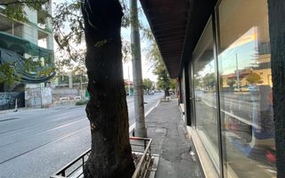 Spatiu Comercial *180mp* // 2 parking spaces // Stefan Cel Mare - Poză 3