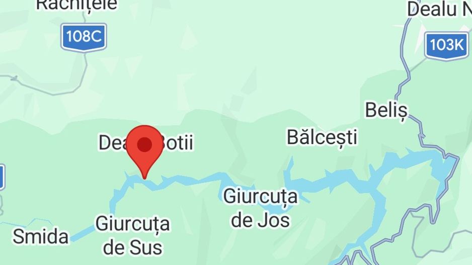Teren intravilan, 3040 mp, Dealu Botii, com Belis, Comision 0 - Poză 7