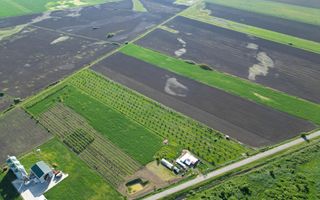 Livadă de nuci și pruni 2.4ha în Variașul Mare - Poză 5