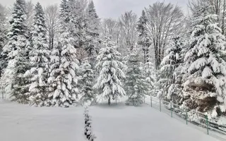 Casa de vacanta la liziera padurii cu vedere libera catre muntii Bucegi - Poză 12