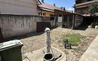 Casa individuala cu teren de 412 Piata Tineretului - Poză 5