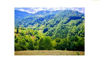 CASA TRADITIONALA, ANEXE si 46.980 mp teren partial INTRAVILAN - Poză 4