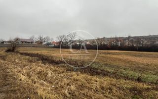 Teren intravilan de vanzare in Beiuș, Bihor - Poză 3