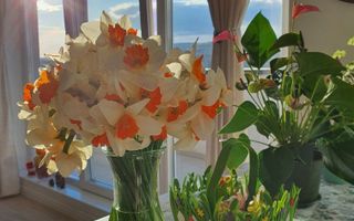 Apartament cu 4 camere ultrafinisat, situat în zona Bulgaria – confort și eleganță! - Poză 3