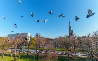 Apartament Premium de închiriat - ultracentral - Poză 16