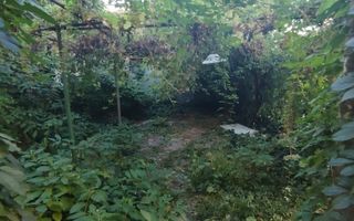 Casa-Curte proprie | Plantelor | - Poză 15