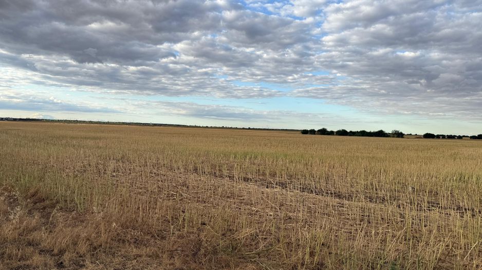 Teren intravilan Branesti - Poză 4