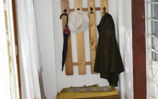 CASĂ TRADIȚIONALĂ CU GRĂDINĂ GENEROASĂ ȘI VIE – ISACCEA, JUD. TULCEA - Poză 6
