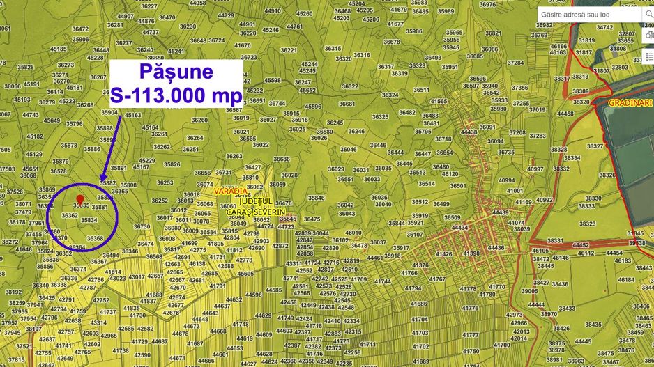 Pășune 11,3 ha – Vărădia, Caraș-Severin – 6.000 €/ha - Poză 3