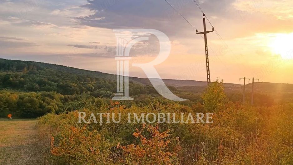 Teren de vanzare | Hidiselul de Sus | Bihor - Poză 1