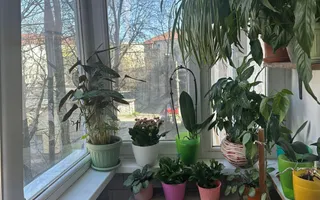 Apartament 2 camere, zona excelenta, Calea Aradului, Timisoara - Poză 13
