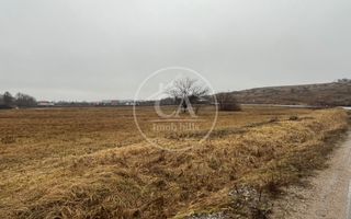 Teren intravilan de vanzare in Beiuș, Bihor - Poză 3