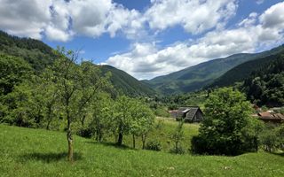 Teren | 2946MP | Priveliște Panoramică | Râu Sadului - Poză 2
