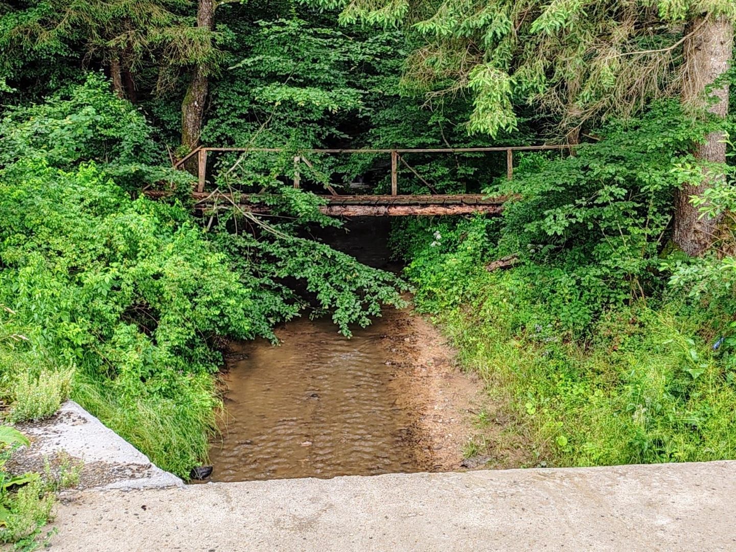 2,8 Ha Teren Extravilan cu Pârâu - Negreni, Cluj - Poză 8