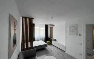 Apartament 1 camera decomandat in completul Poitiers Towers