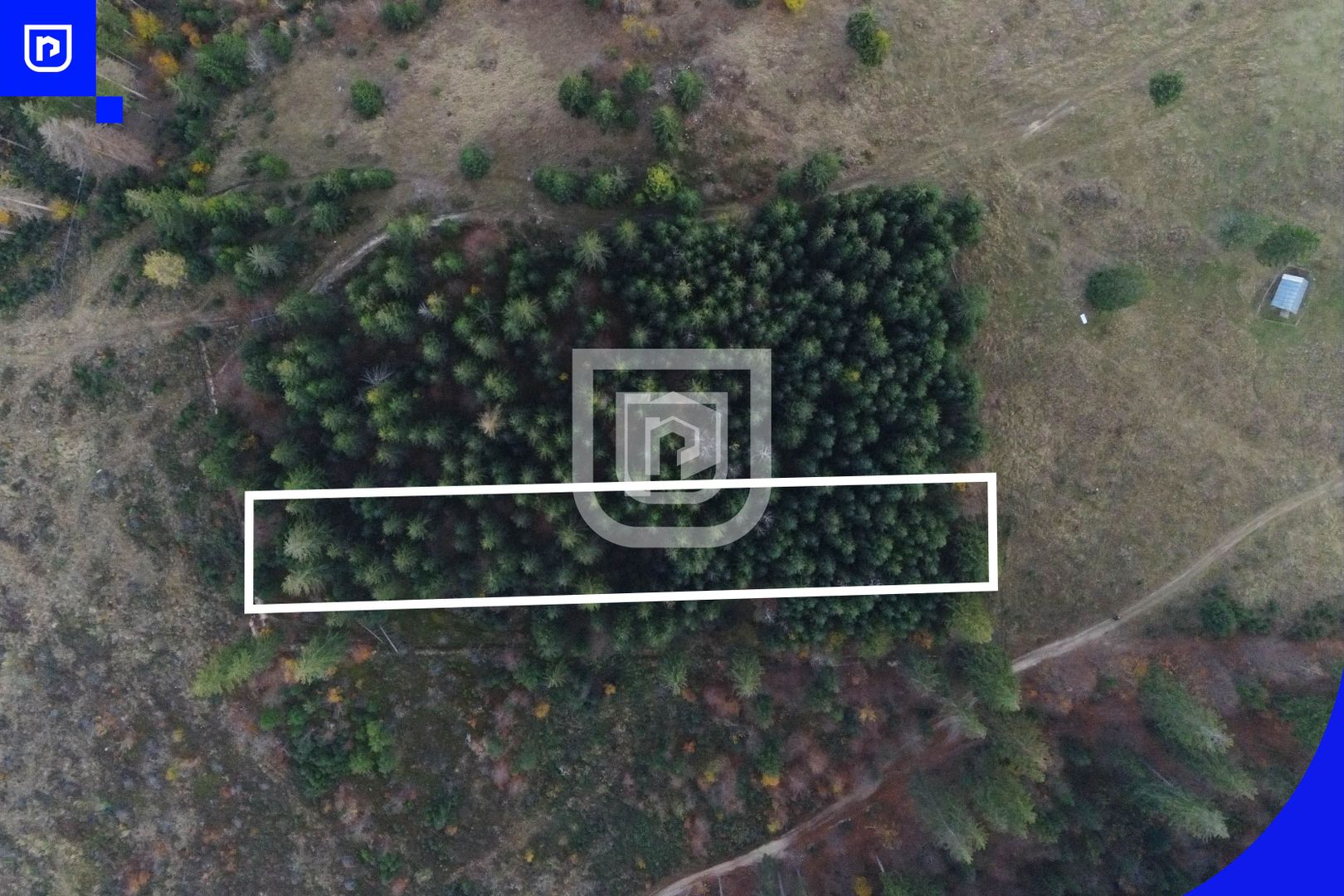 Teren situat in Frasin | BUCOVINA - Poză 3