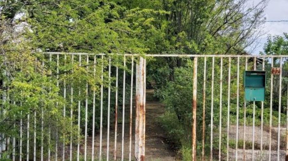 Teren la 35 km de Bucuresti - Izvorani - Ciolpani - Poză 10