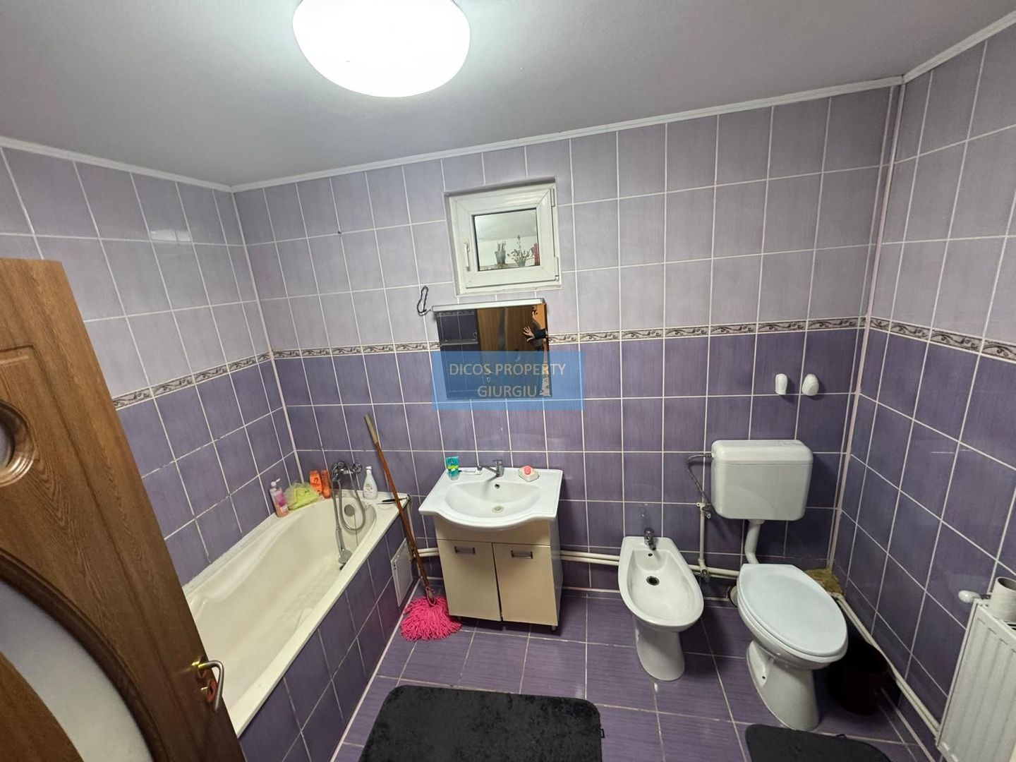 Casă cu mansardă și piscină de vânzare – Pictor Andreescu - Poză 12