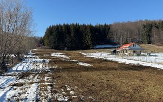 Teren intravilan 4521mp lângă pădure-valea Doftanei -Calea Brasovului - Poză 8