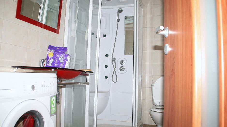 BRANESTI, cu deschidere la Balta Branesti, inchiriere vila 7 camere - Poză 12